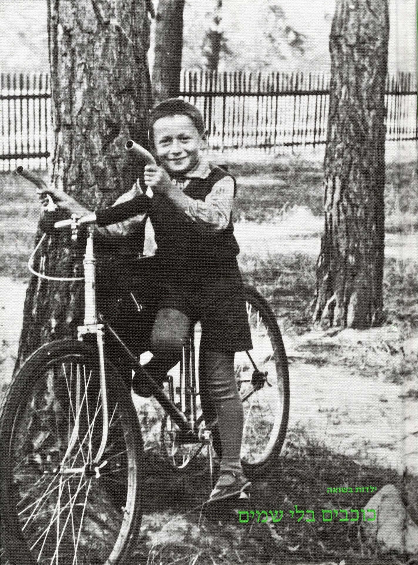 כוכבים בלי שמים: ילדות בשואה