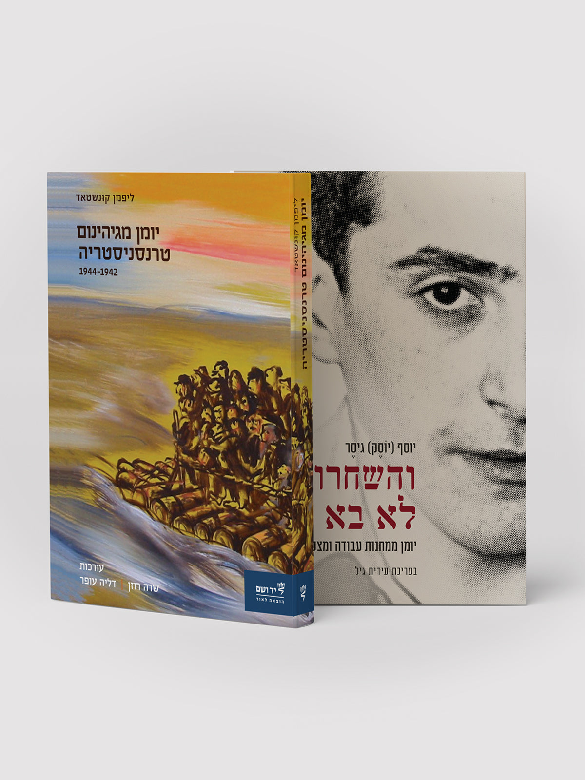 יומנים אישיים