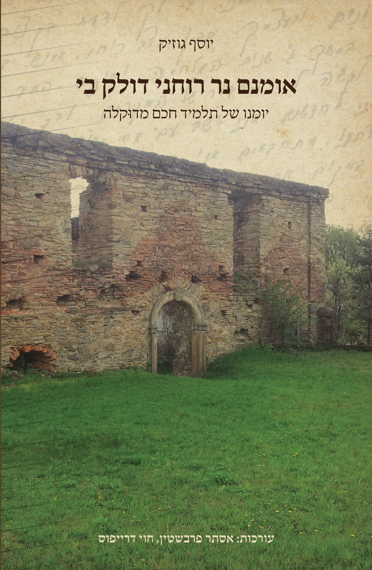 אומנם נר רוחני דולק בי: יומנו של תלמיד חכם מדוקלה