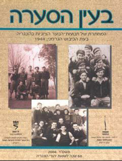 Picture of בעין הסערה